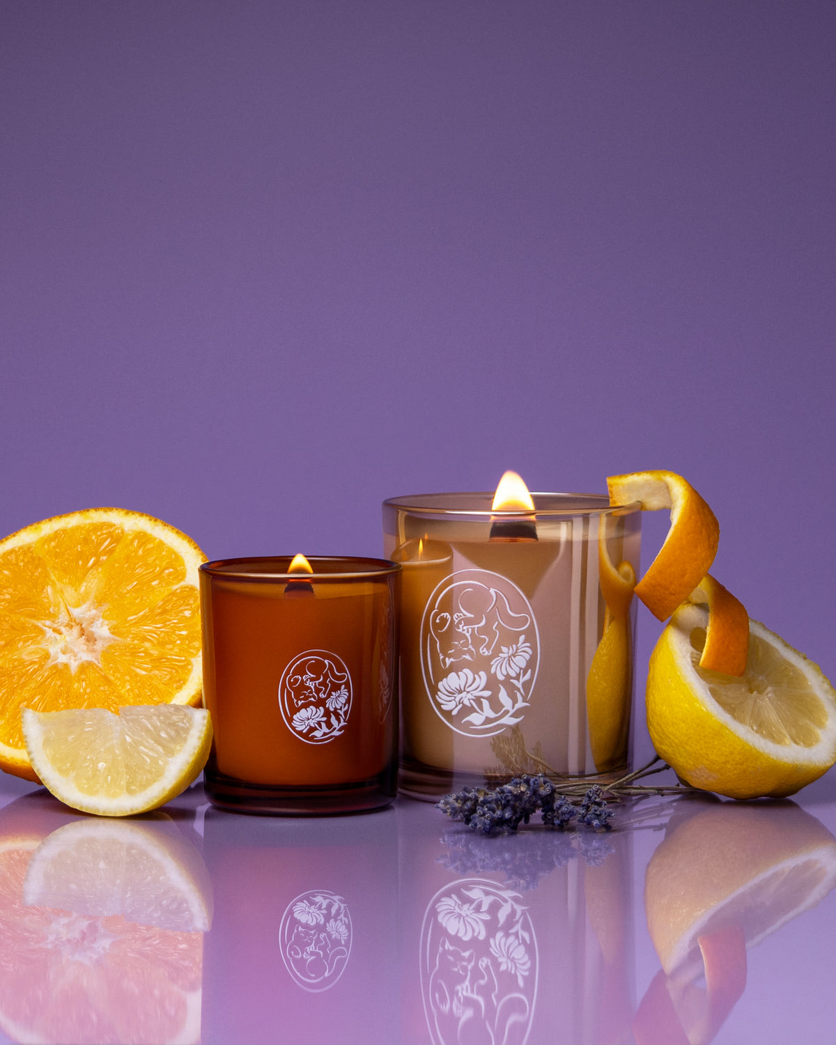 Hopey Candle - Lavender & Sparkling Citrus