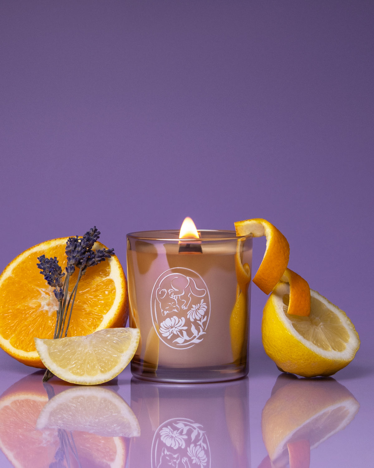 Hopey Candle - Lavender & Sparkling Citrus